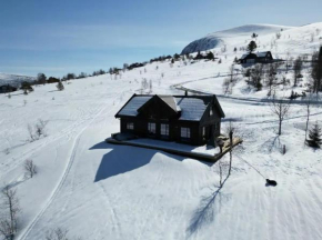 Mountain Cabin At Nysetra Near Romsdalseggen